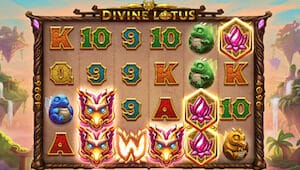 divine lotus