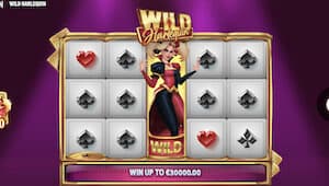 wild harlequin