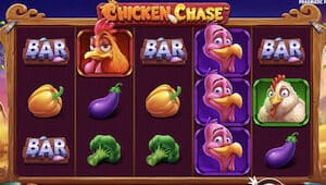 chicken chase