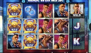 max win wpd