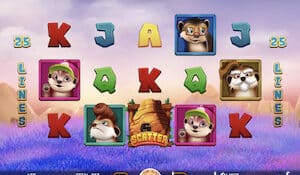 meerkats family