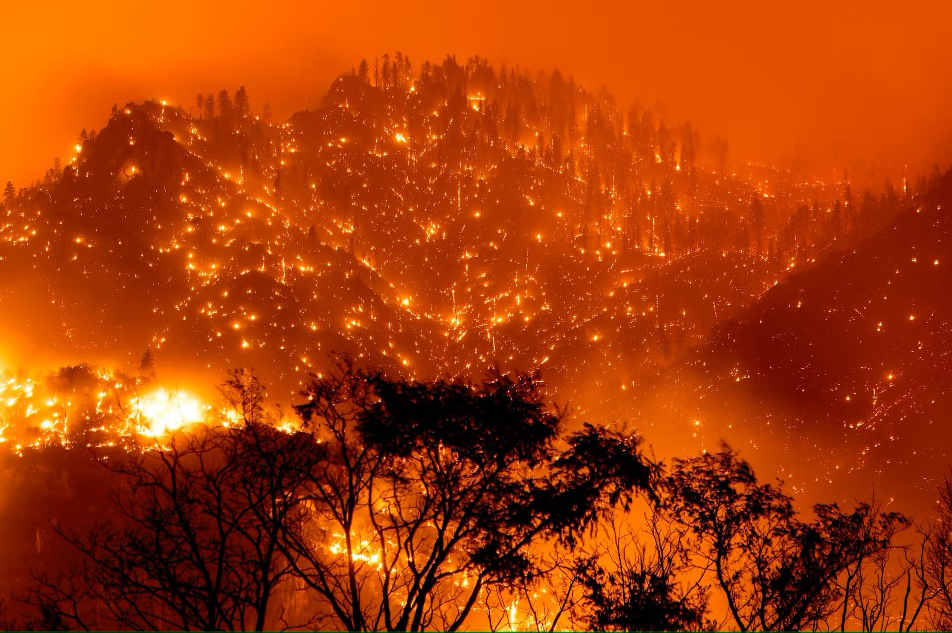 feu en californie